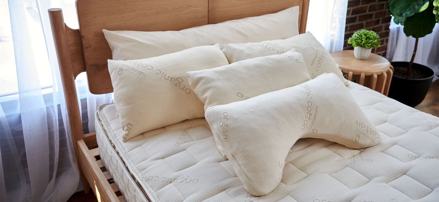 Organic Pillows